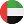 UAE flag